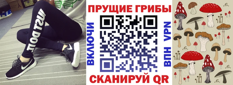 Псилоцибиновые грибы Psilocybine cubensis  Сердобск 