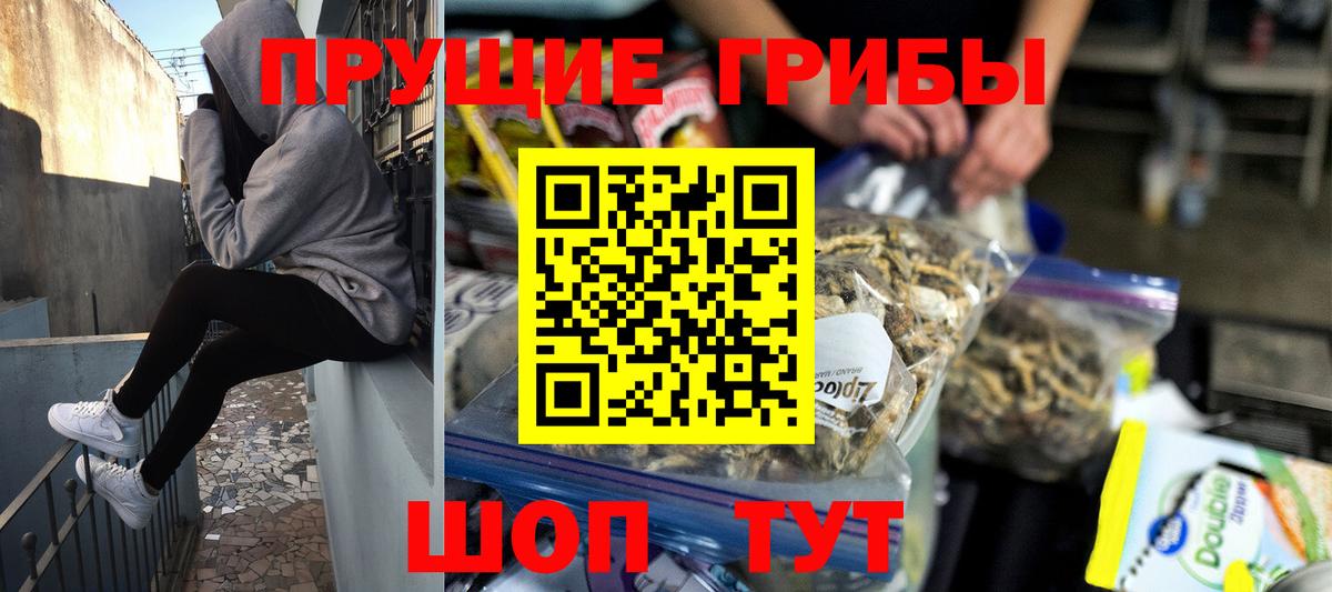 Псилоцибиновые грибы Psilocybe  Вход с VPN  Галлюциногенные грибы Psilocybine cubensis  Сердобск 